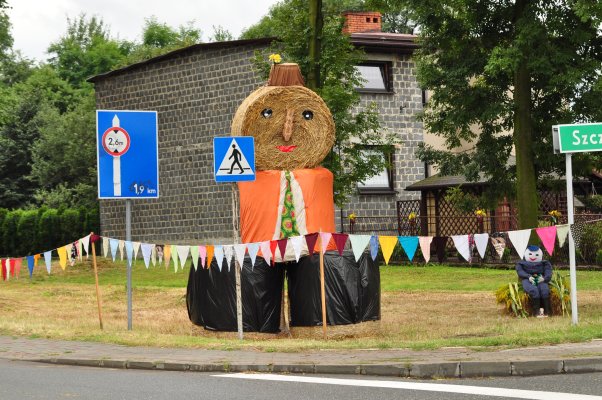 Doynki powiatowe 2012 Bek - Palowice, fot. Marcin Karwot