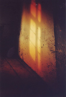 Beata Brząkalik, Palowice - wystawa autorska