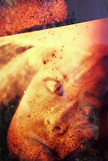 Beata Brząkalik, Palowice - wystawa autorska