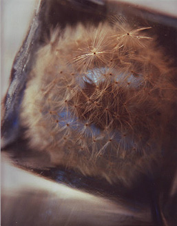 Beata Brząkalik, Palowice - wystawa autorska