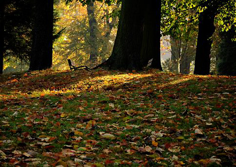 Palowice w obiektywie, fot. Beata Brząkalik