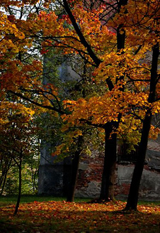 Palowice w obiektywie, fot. Beata Brząkalik