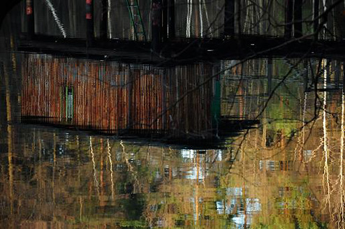 Palowice w obiektywie, fot. Beata Brząkalik
