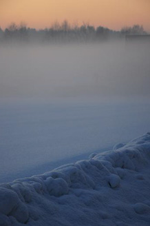 Palowice w obiektywie, fot. Beata Brząkalik