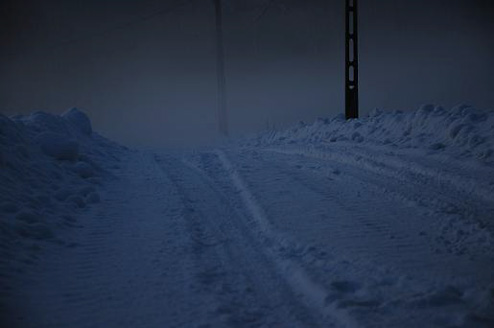 Palowice w obiektywie, fot. Beata Brząkalik
