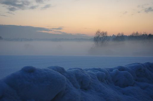 Palowice w obiektywie, fot. Beata Brząkalik