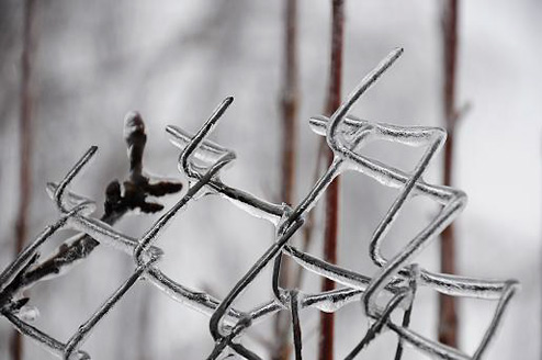 Palowice w obiektywie, fot. Beata Brząkalik