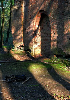 Palowice w obiektywie, fot. Beata Brząkalik