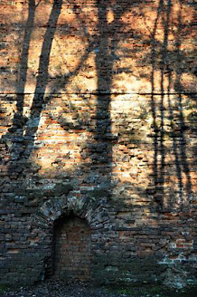 Palowice w obiektywie, fot. Beata Brząkalik