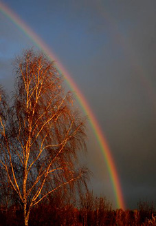 Palowice w obiektywie, fot. Beata Brząkalik