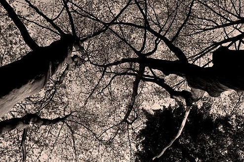 Palowice w obiektywie, fot. Beata Brząkalik