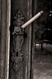 Palowice w obiektywie, fot. Beata Brząkalik