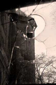 Palowice w obiektywie, fot. Beata Brząkalik