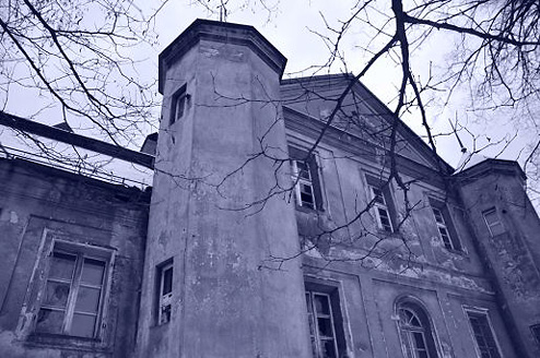 Palowice w obiektywie, fot. Beata Brząkalik