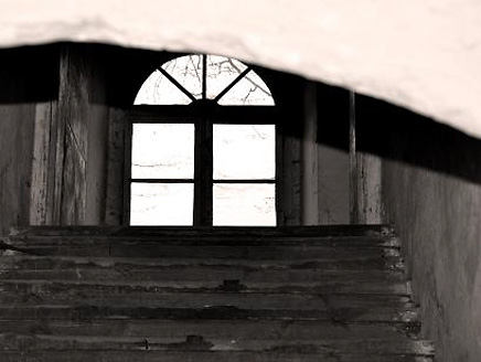 Palowice w obiektywie, fot. Beata Brząkalik