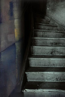 Palowice w obiektywie, fot. Beata Brząkalik