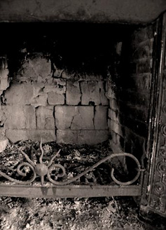 Palowice w obiektywie, fot. Beata Brząkalik