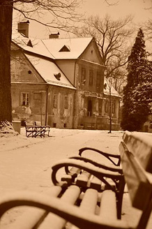 Palowice w obiektywie, fot. Beata Brząkalik