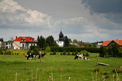 Palowice w obiektywie, fot. Grzegorz Mitręga