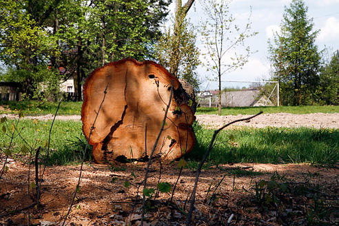 Palowice w obiektywie, fot. Grzegorz Mitręga