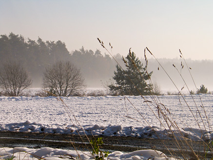 Palowice w obiektywie, fot. Grzegorz Mitręga