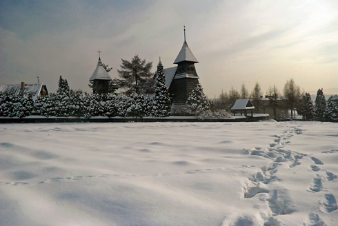 Palowice w obiektywie, fot. Grzegorz Mitręga