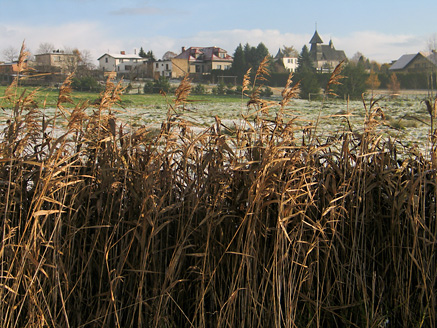 Palowice w obiektywie, fot. Grzegorz Mitręga