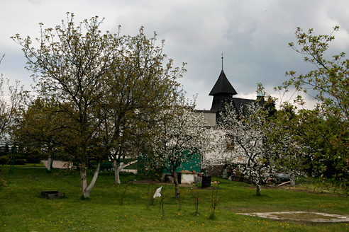 Palowice w obiektywie, fot. Grzegorz Mitręga