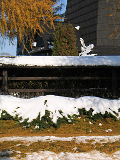 Palowice w obiektywie, fot. Grzegorz Mitręga