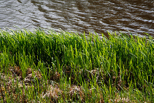 Palowice w obiektywie, fot. Grzegorz Mitręga