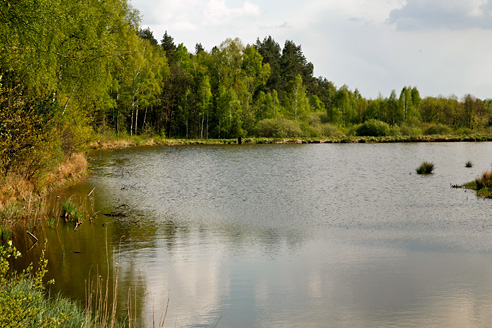 Palowice w obiektywie, fot. Grzegorz Mitręga
