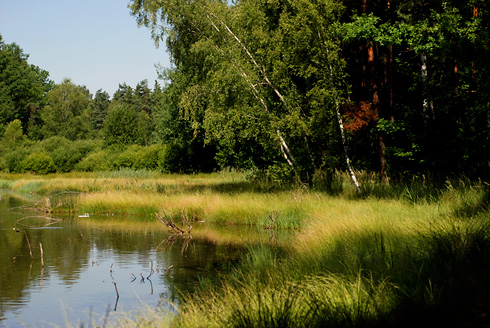 Palowice w obiektywie, fot. Grzegorz Mitręga