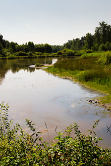 Palowice w obiektywie, fot. Grzegorz Mitręga