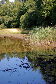 Palowice w obiektywie, fot. Grzegorz Mitręga