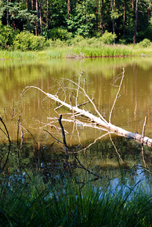 Palowice w obiektywie, fot. Grzegorz Mitręga