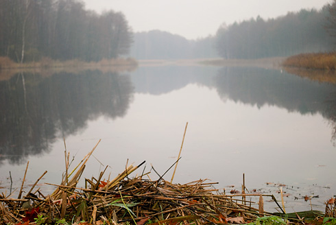 Palowice w obiektywie, fot. Grzegorz Mitręga