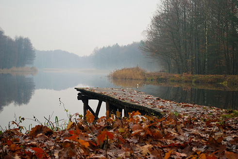 Palowice w obiektywie, fot. Grzegorz Mitręga