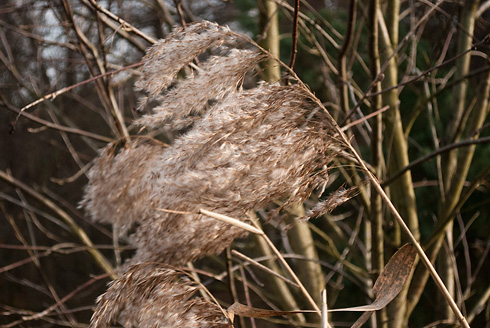 Palowice w obiektywie, fot. Grzegorz Mitręga