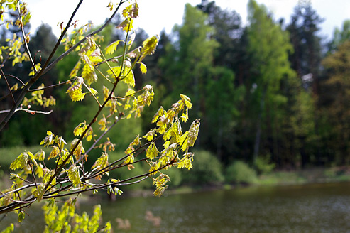 Palowice w obiektywie, fot. Grzegorz Mitręga