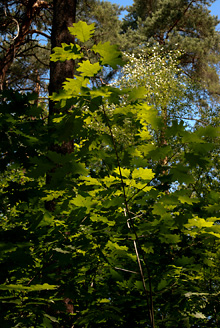 Palowice w obiektywie, fot. Grzegorz Mitręga