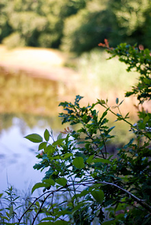 Palowice w obiektywie, fot. Grzegorz Mitręga