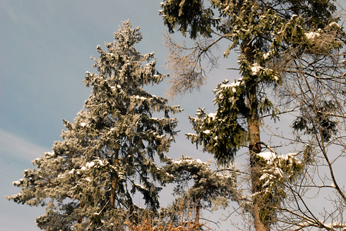Palowice w obiektywie, fot. Grzegorz Mitręga