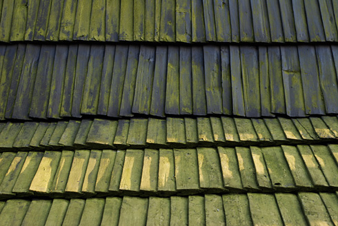 Palowice w obiektywie, fot. Grzegorz Mitręga