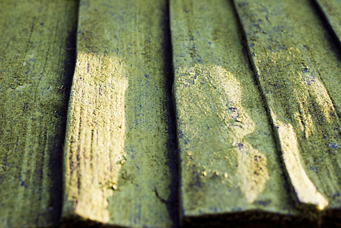 Palowice w obiektywie, fot. Grzegorz Mitręga