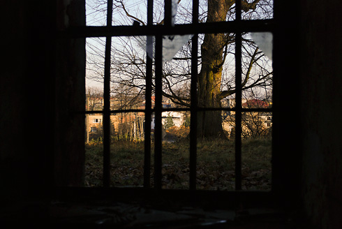 Palowice w obiektywie, fot. Grzegorz Mitręga