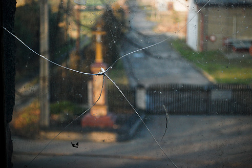 Palowice w obiektywie, fot. Grzegorz Mitręga