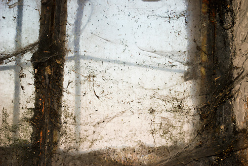 Palowice w obiektywie, fot. Grzegorz Mitręga