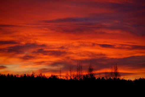 Wschód słońca w Palowicach, fot. Łukasz Malcharek