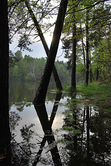 Palowice w obiektywie, fot. Tadeusz Stawowczyk