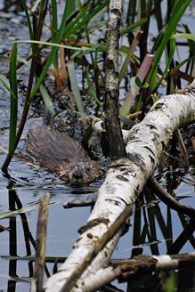 Palowice w obiektywie, fot. Tadeusz Stawowczyk